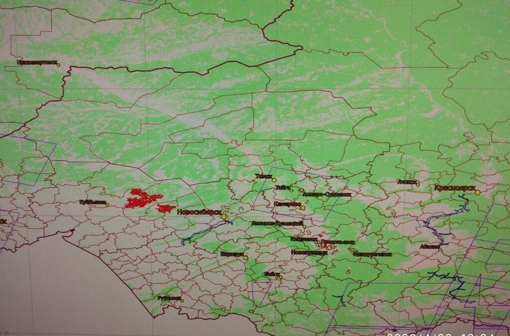 Штрафы за лесные пожары в Томской области составят от 5 тысяч до 1 миллиона рублей