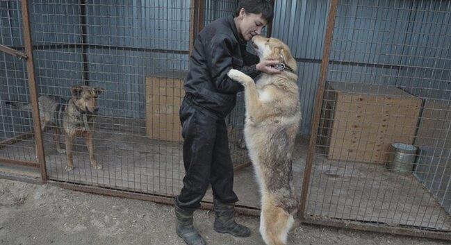 riatomsk.ru