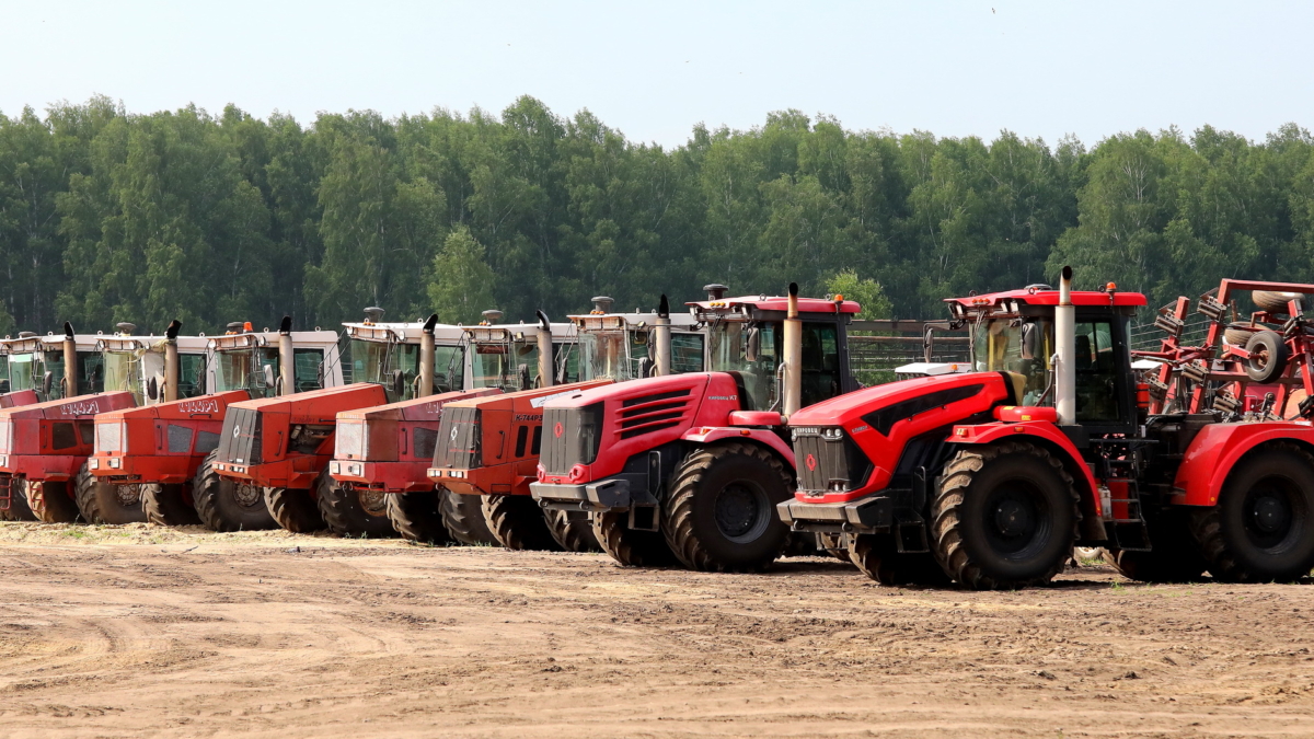 Зырянский район Томской области ведет заготовку кормов tomsk.gov.ru