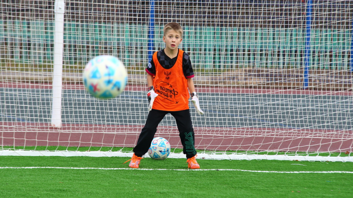 Три спортивных госпаблика Томской области отмечены всероссийскими наградами tomsk.gov.ru