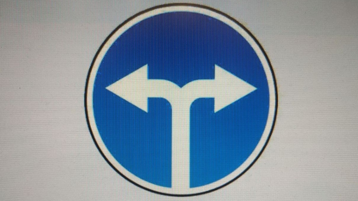 Алексей Прянишников*: раздвоение личности? sm,news.ru