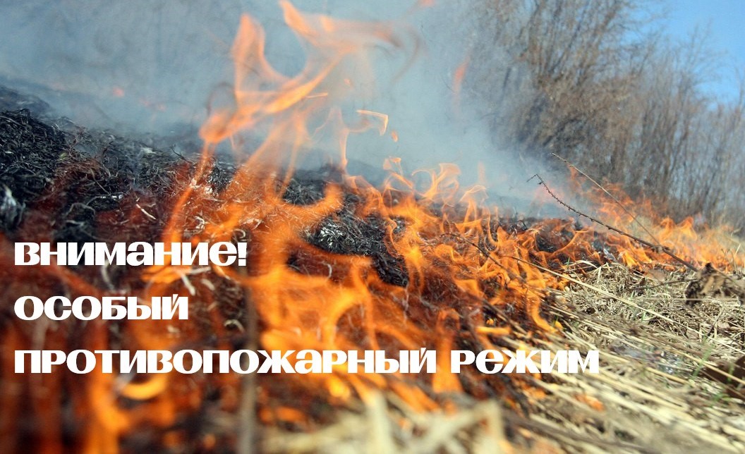 Губернатор Владимир Мазур установил особый противопожарный режим на всей территории Томской области tomsk.gov.ru