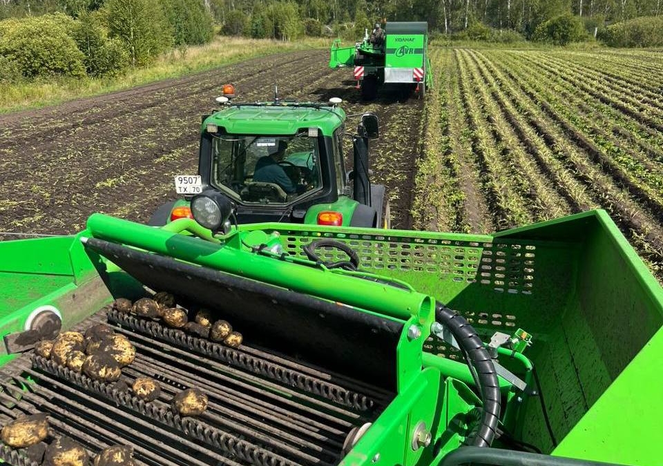 Овощеводы Томской области продолжают уборочную кампанию tomsk.gov.ru