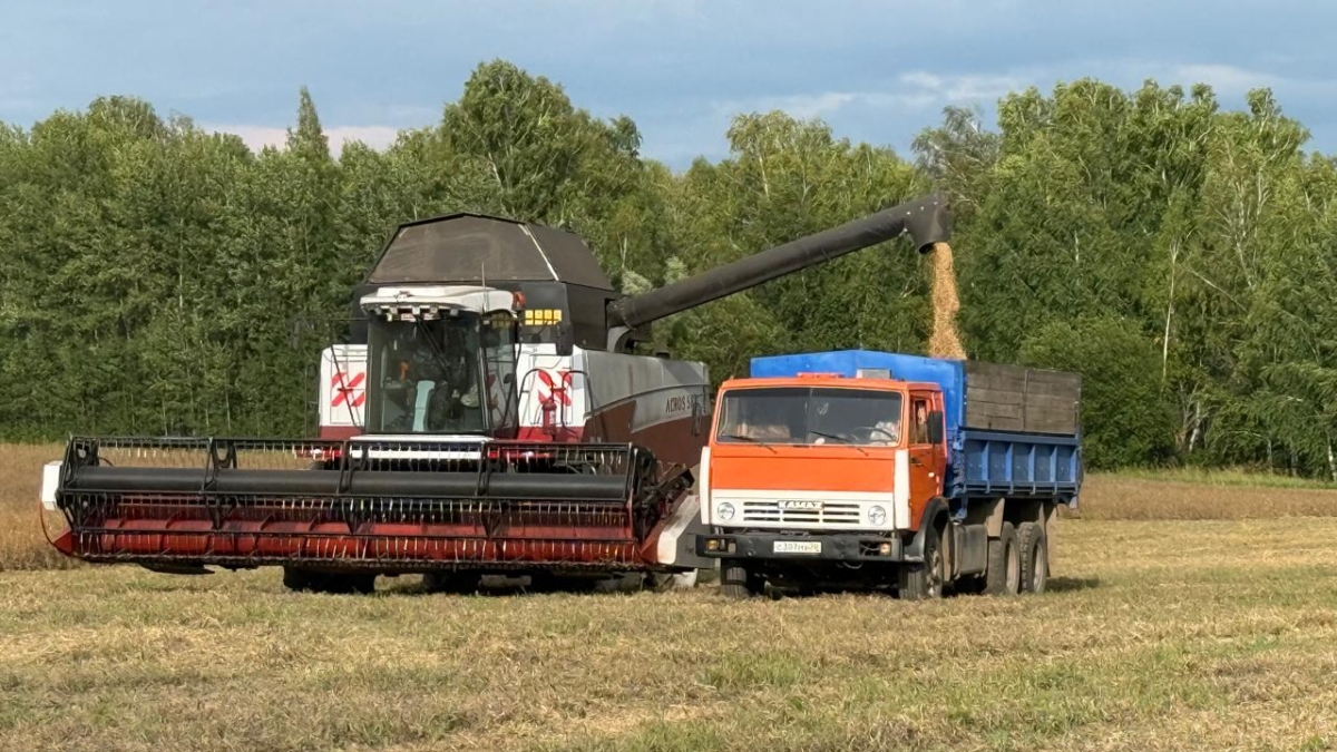 Аграрии Томской области собрали уже почти 100% урожая зерновых и зернобобовых tomsk.gov.ru